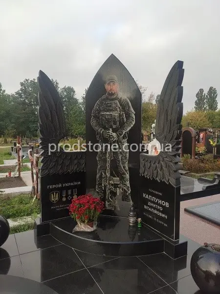 Военный памятник в виде крыльев №5